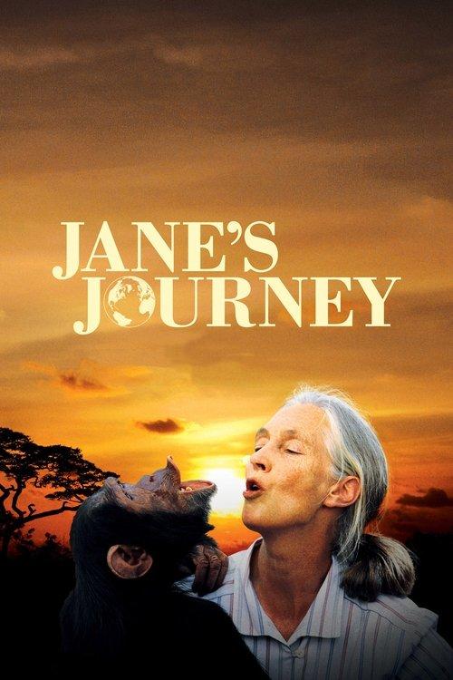 Jane's Journey 2011 official movie poster