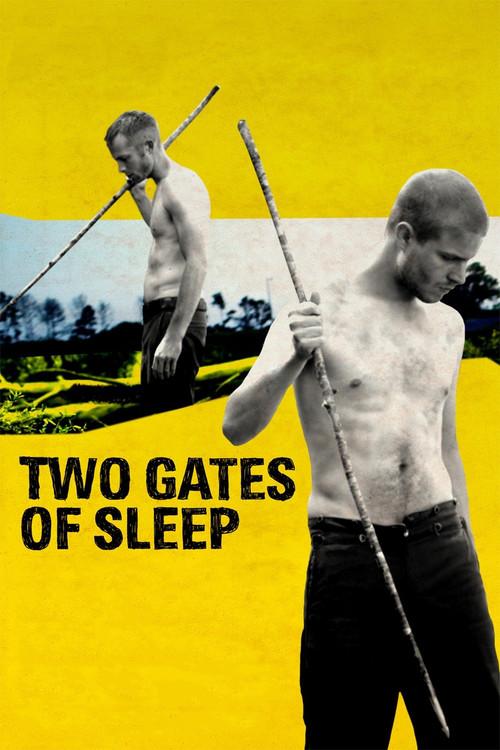 Two Gates of Sleep 2010 official movie poster