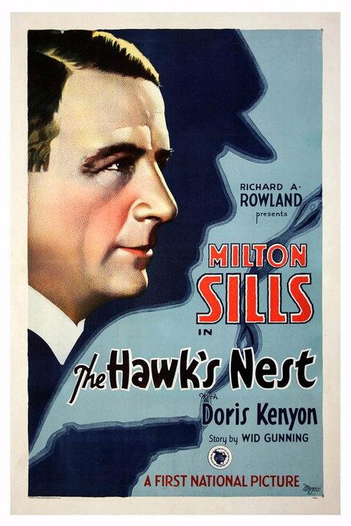 The Hawk's Nest 1928 official movie poster