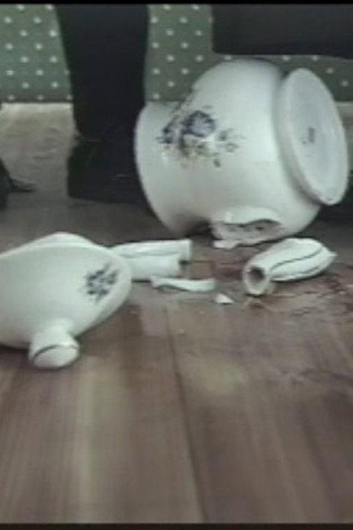 The Tea Pot 1995 official movie poster