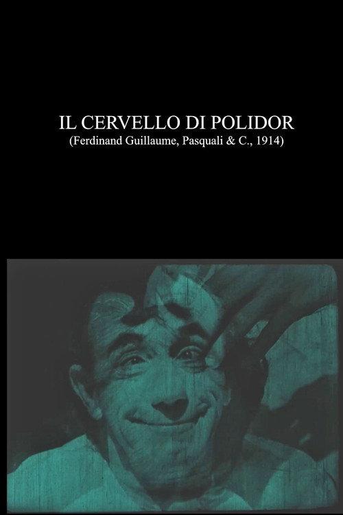 Il cervello di Polidor 1914 official movie poster