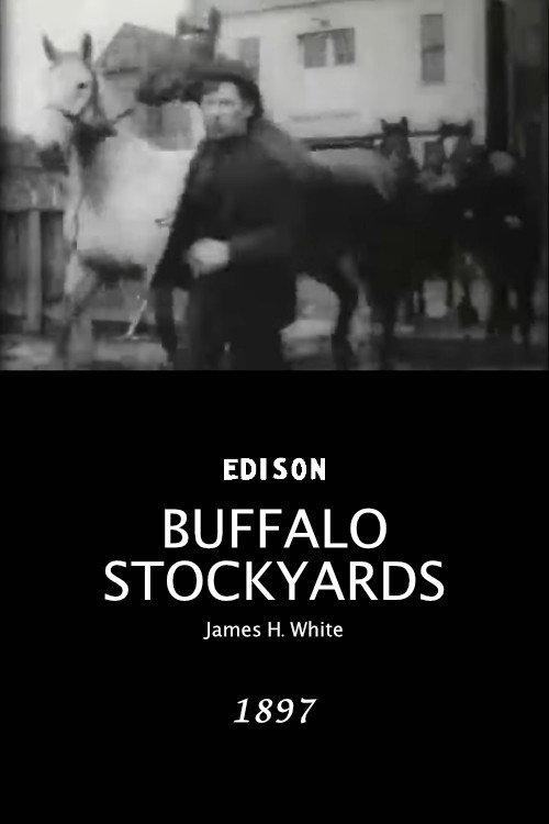 Buffalo Stockyards 1897 official movie poster