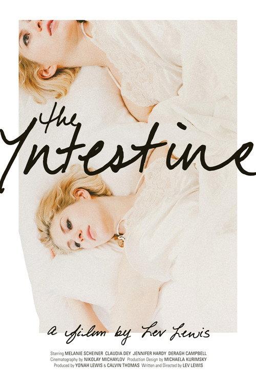 The Intestine 2016 official movie poster