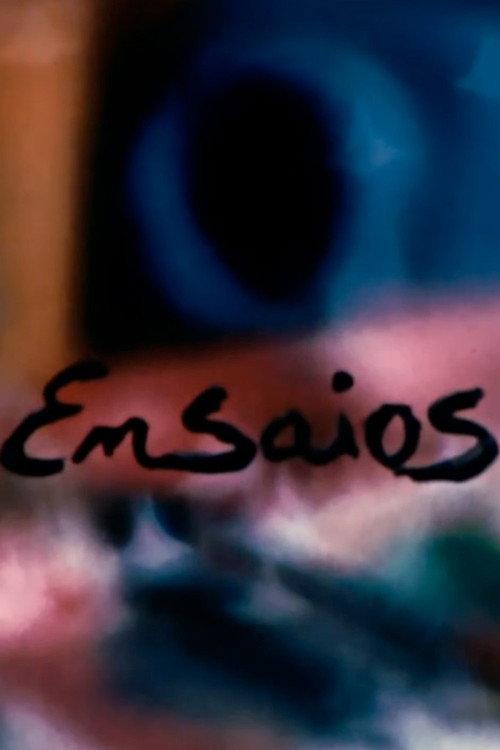 Ensaios 1977 official movie poster