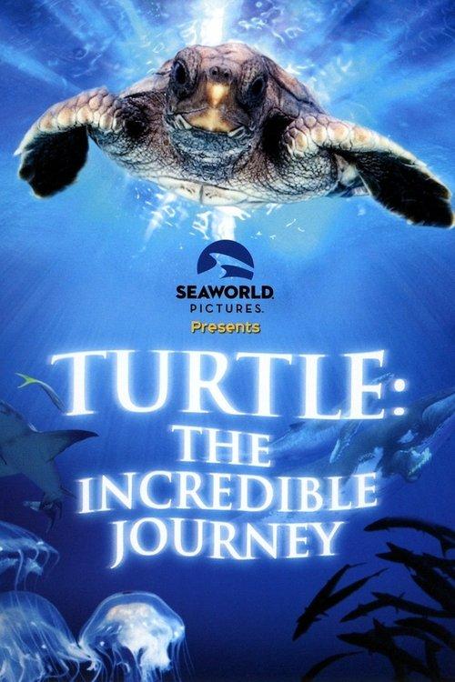 Turtle: The Incredible Journey 2009 official movie poster