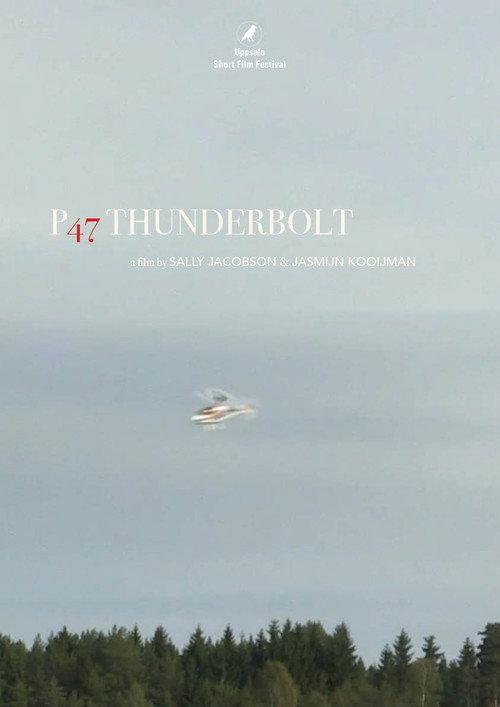 P47 Thunderbolt 2016 official movie poster