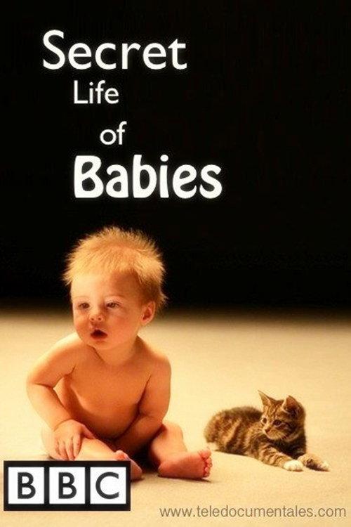 Secret Life of Babies 2014 official movie poster