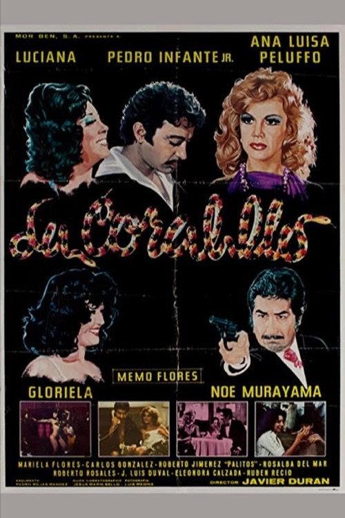La coralillo 1981 official movie poster