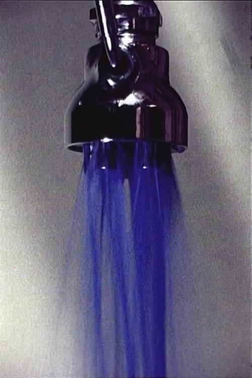 Shower 1964 official movie poster