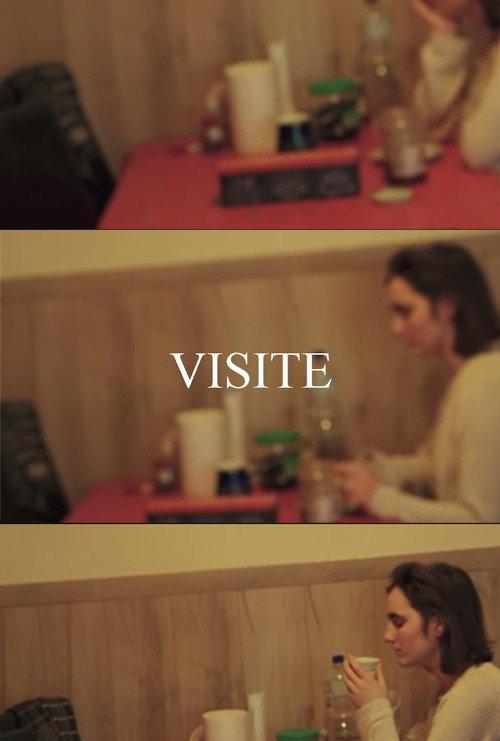 VISIT 2024 official movie poster