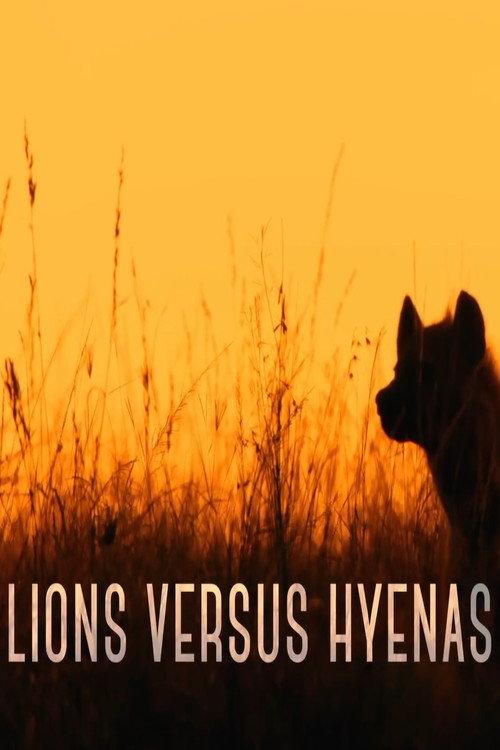 Lions versus Hyenas 2021 official movie poster