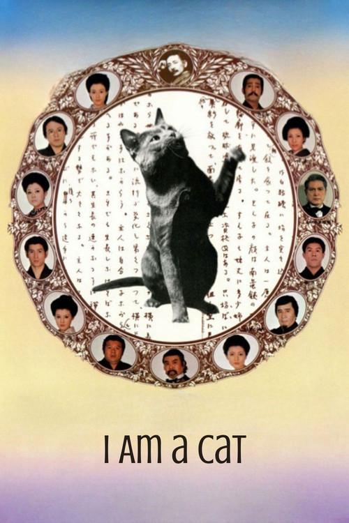 I Am a Cat 1975 official movie poster