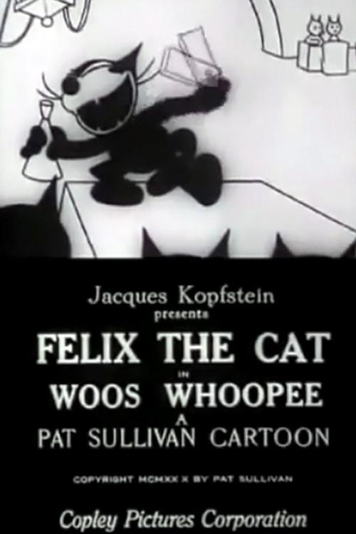 Woos Whoopee 1928 official movie poster