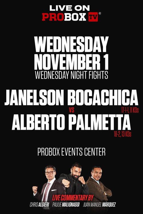 Janelson Bocachica vs. Alberto Palmetta 2023 official movie poster