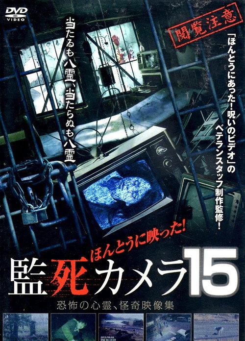 Paranormal Surveillance Camera 15 2016 official movie poster