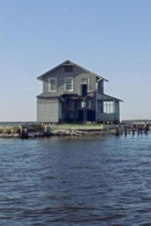 Life on the Mississippi 2019 official movie poster