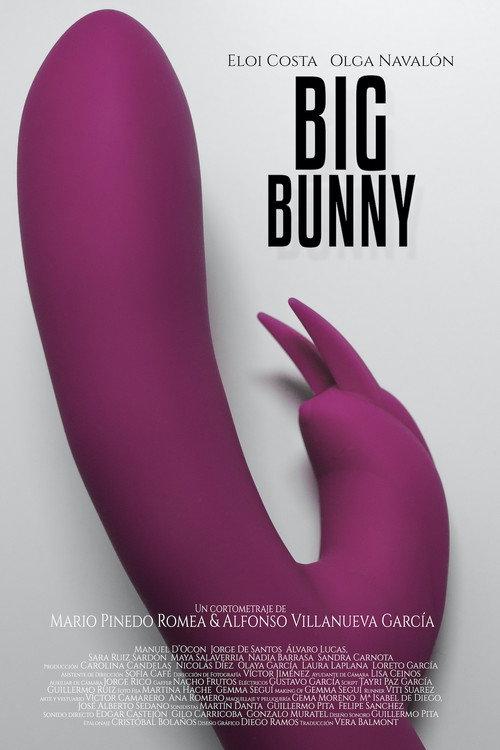 Big Bunny 2018 official movie poster