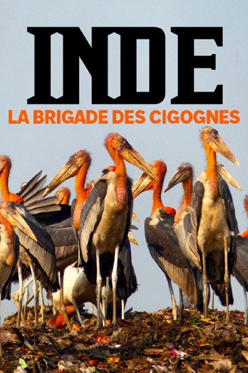 Inde, la brigade des cigognes 2022 official movie poster