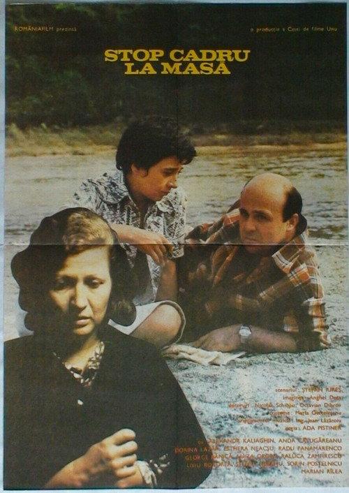 Snapshot Around the Family Table 1980 official movie poster