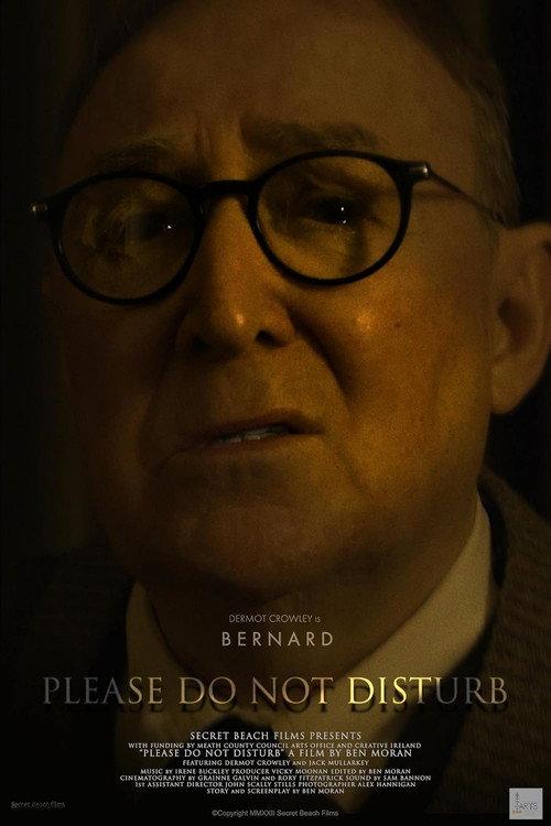 Please Do Not Disturb 2023 official movie poster