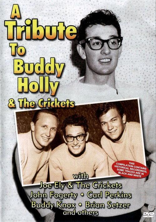 A Tribute To Buddy Holly And The Crickets 2004 official movie poster