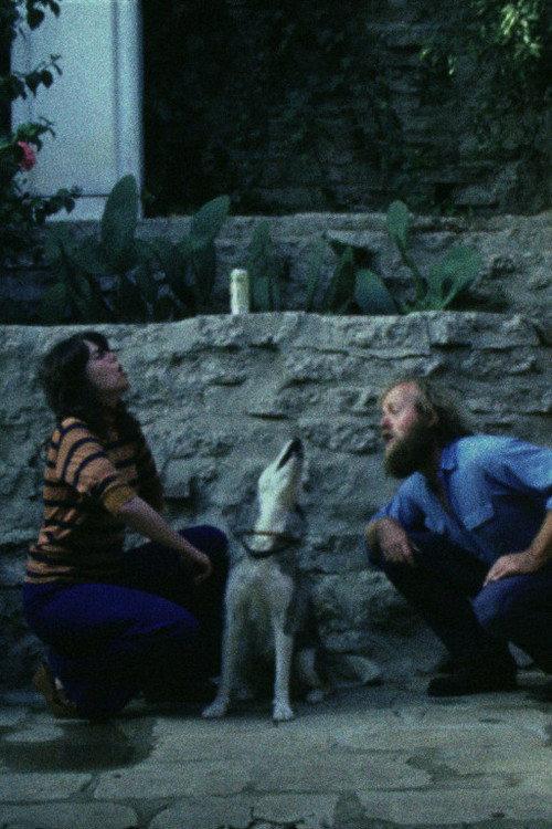 Sleeping Dogs (Never Lie) 1978 official movie poster