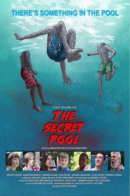 The Secret Pool 2021 official movie poster