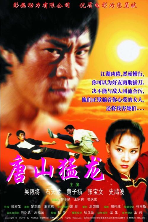 Dragon the Master 2 2002 official movie poster