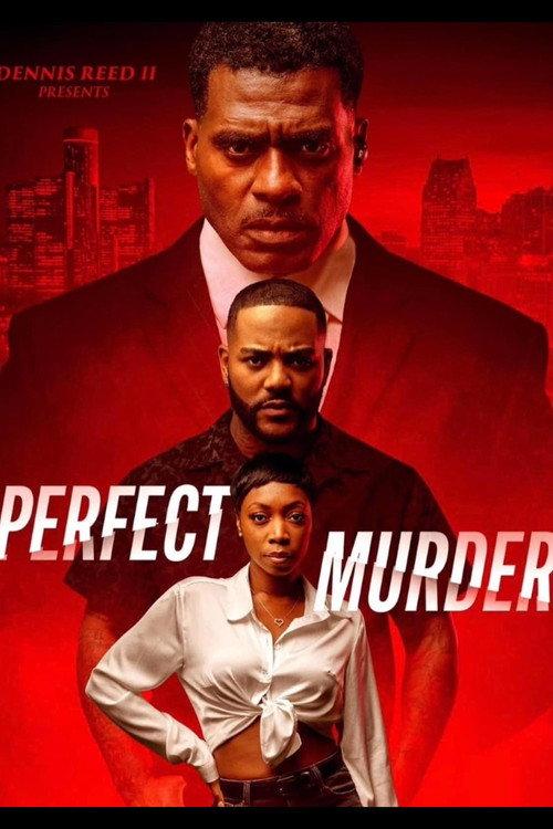 Perfect Murder 2024 official movie poster