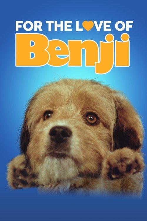 For the Love of Benji 1977 official movie poster