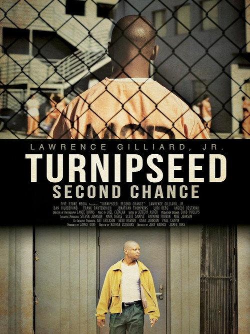 Turnipseed: Second Chance 2013 official movie poster