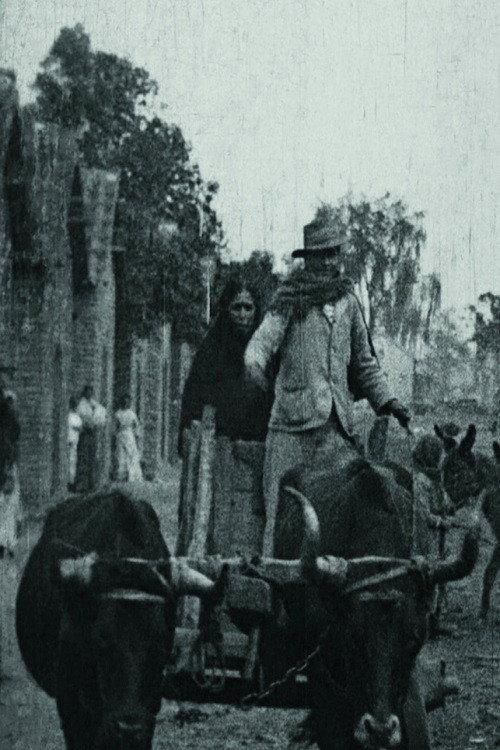 Plantation de sucre en Argentine 1909 official movie poster
