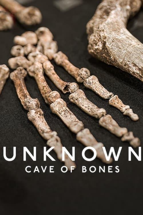 Unknown: Cave of Bones 2023 official movie poster