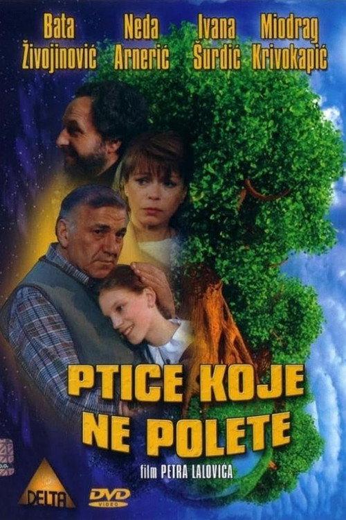 Some Birds Can't Fly 1997 official movie poster