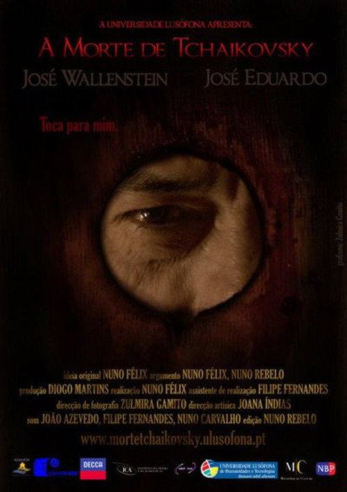 A Morte de Tchaikovsky 2008 official movie poster