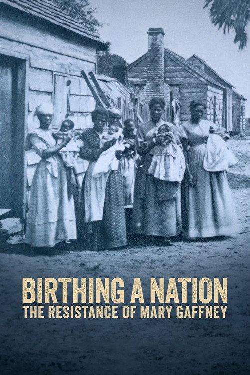 Birthing a Nation: The Resistance of Mary Gaffney 2023 official movie poster