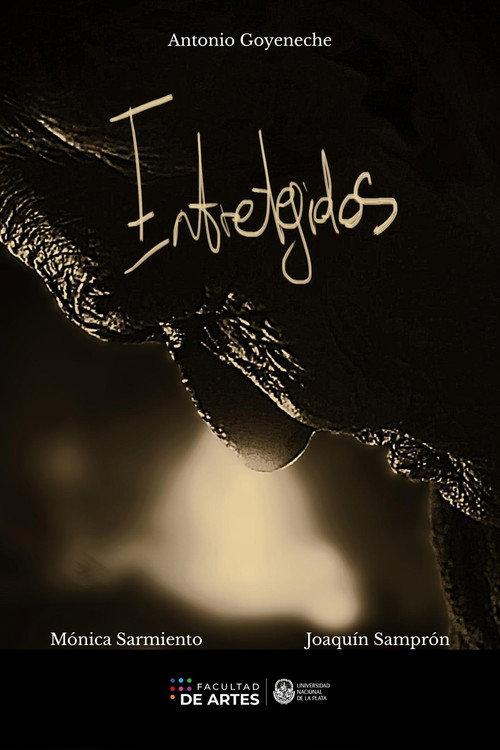 Entretejidos 2024 official movie poster