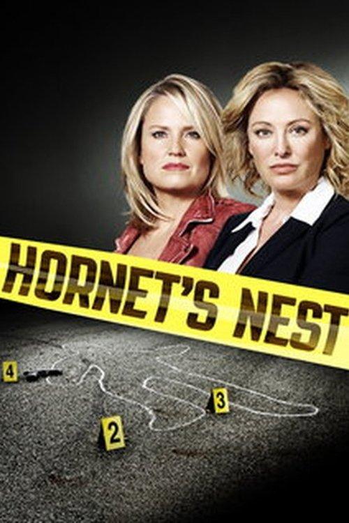Hornet's Nest 2012 official movie poster