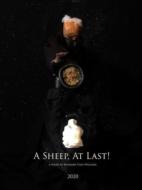 A Sheep, At Last! 2020 official movie poster