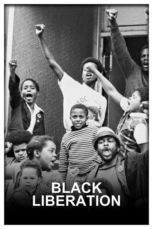 Black Liberation 1967 official movie poster
