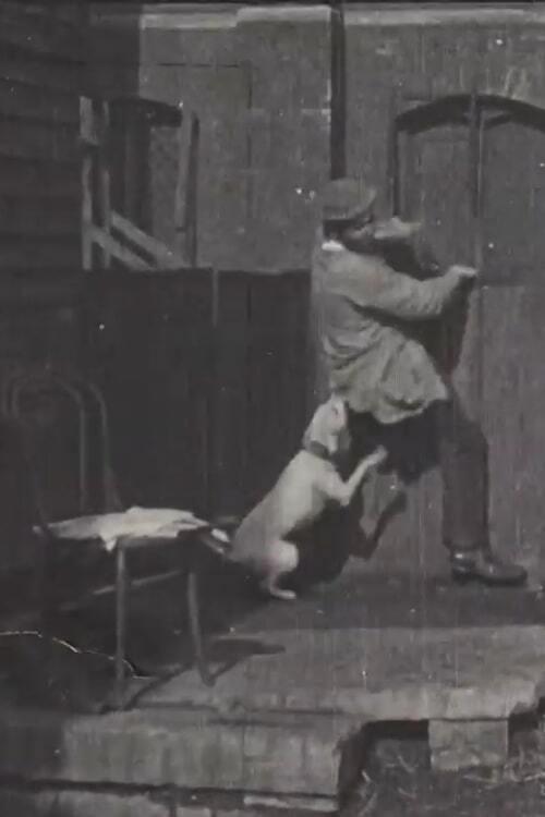 The Tramp and the Dog 1896 official movie poster