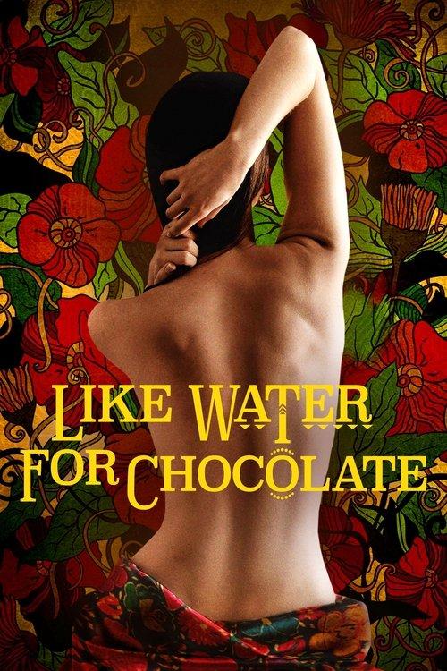 Like Water for Chocolate 1992 official movie poster