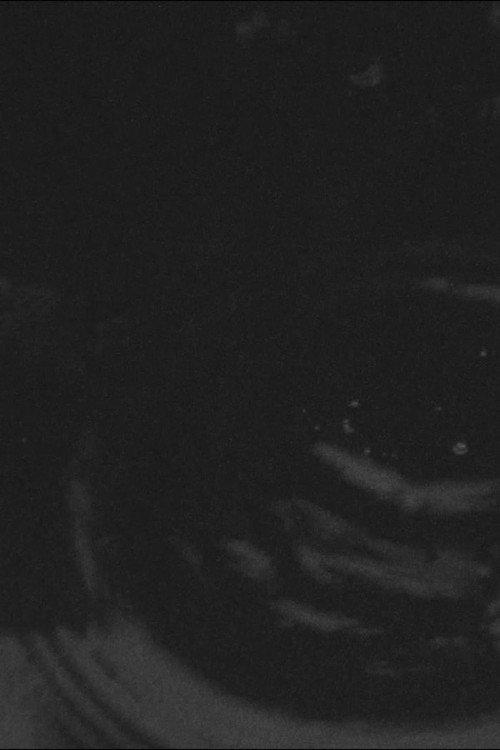 Avantgarde Puddle  official movie poster