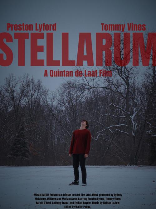 STELLARUM 2025 official movie poster