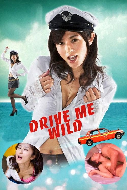 Any And Every Which Way 2010 official movie poster