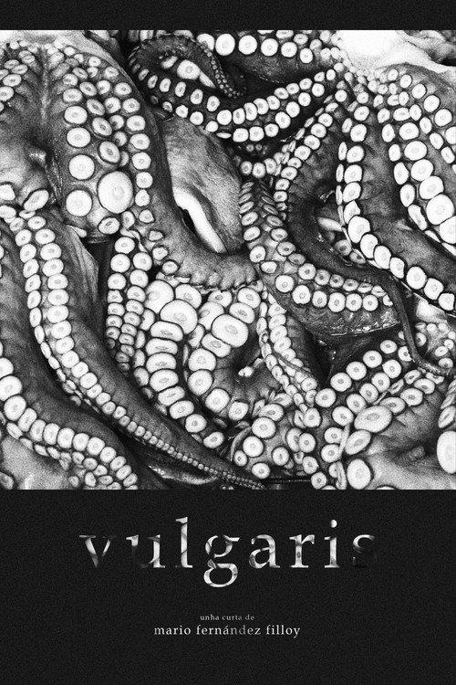 Vulgaris 2021 official movie poster
