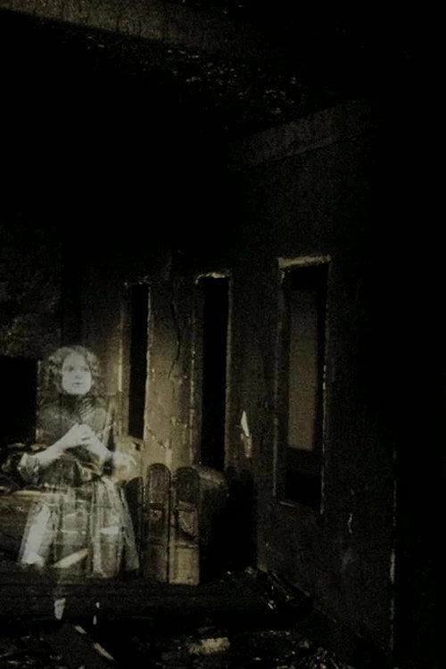 Palimpsest 2008 official movie poster