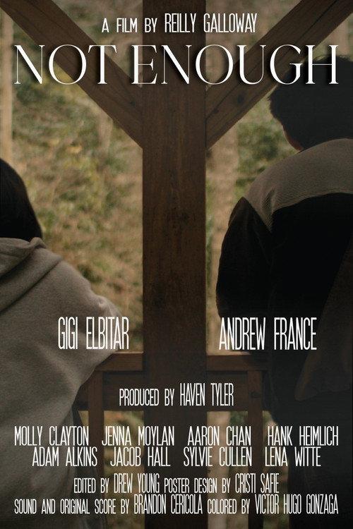 Not Enough 2026 official movie poster