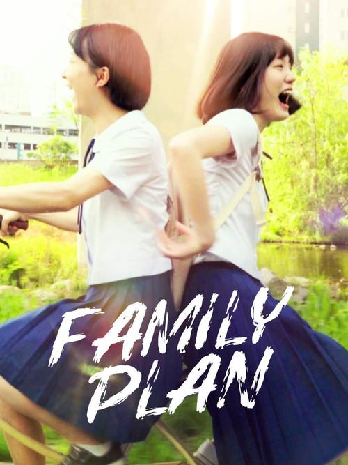 Family Plan 2016 official movie poster