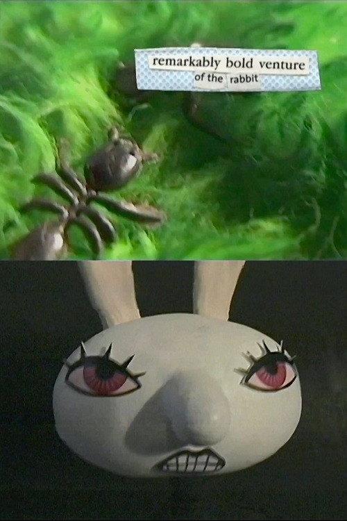 Remarkably Bold Venture of the Rabbit 2000 official movie poster